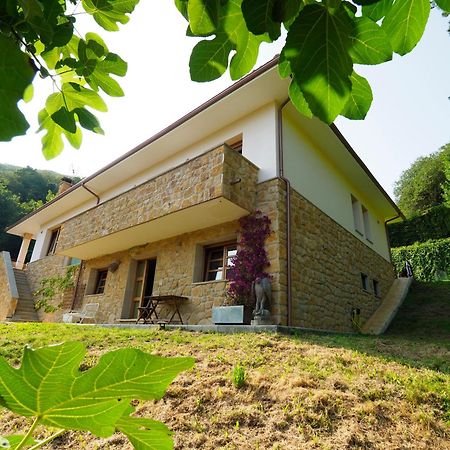 Loft 80 Mts En Un Entorno Natural. مييريس المظهر الخارجي الصورة