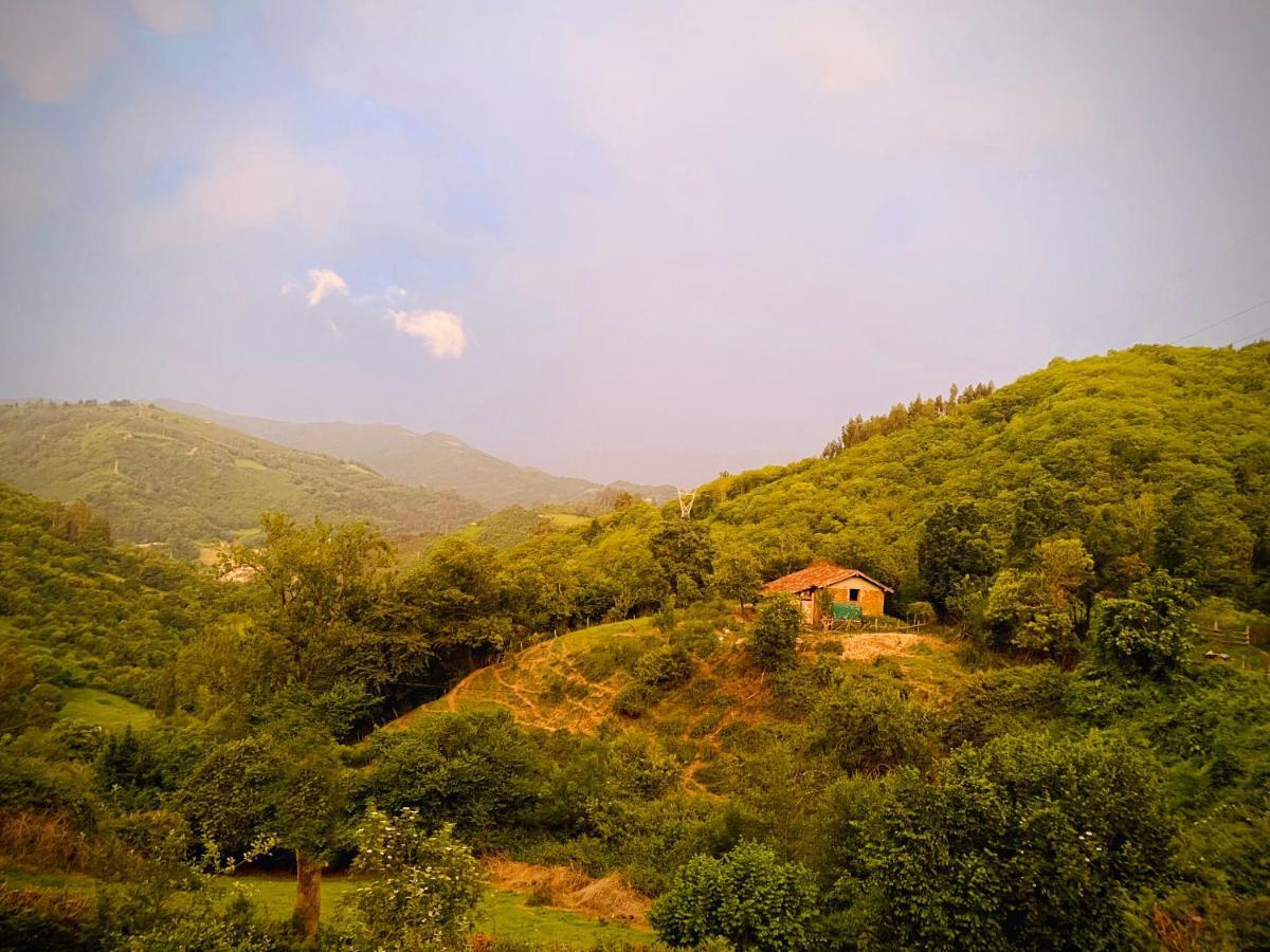 Loft 80 Mts En Un Entorno Natural. مييريس المظهر الخارجي الصورة