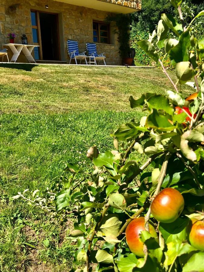 Loft 80 Mts En Un Entorno Natural. مييريس المظهر الخارجي الصورة